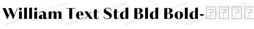William Text Std Bld Bold字体转换
